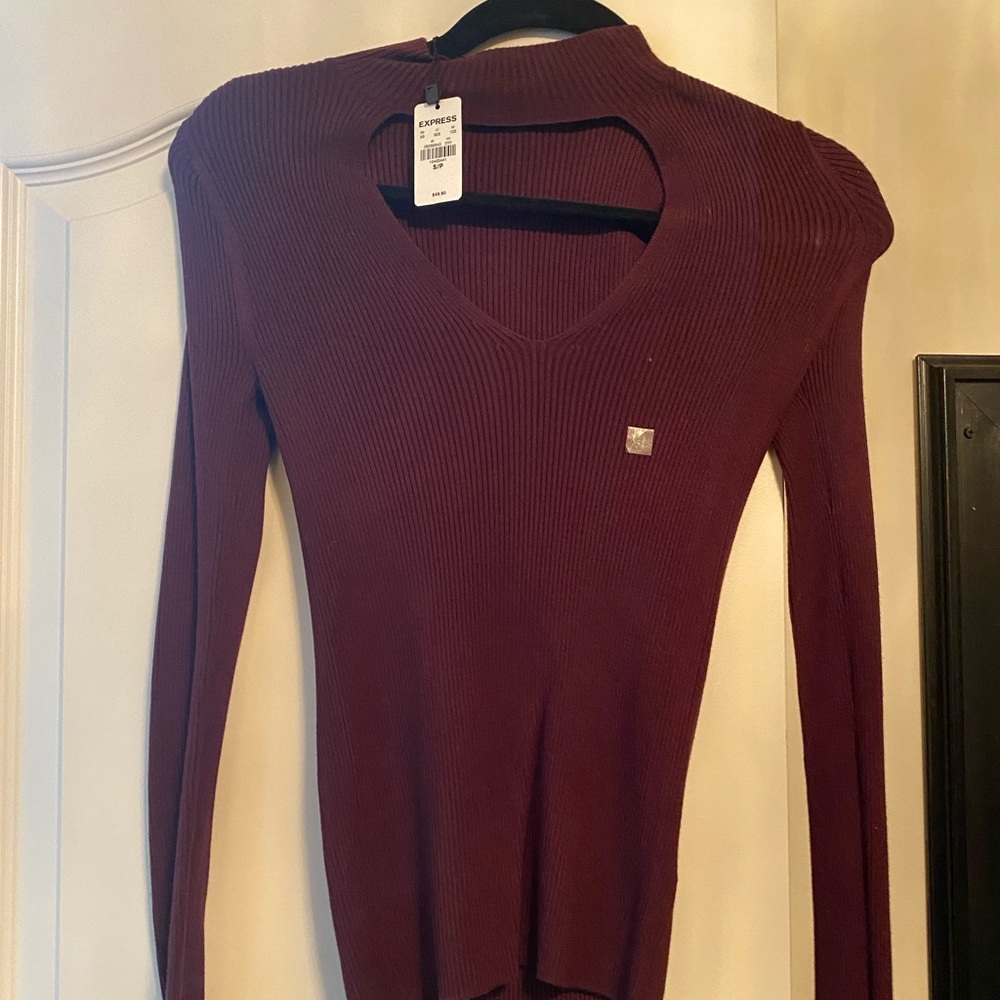 womens express sweater nwt
